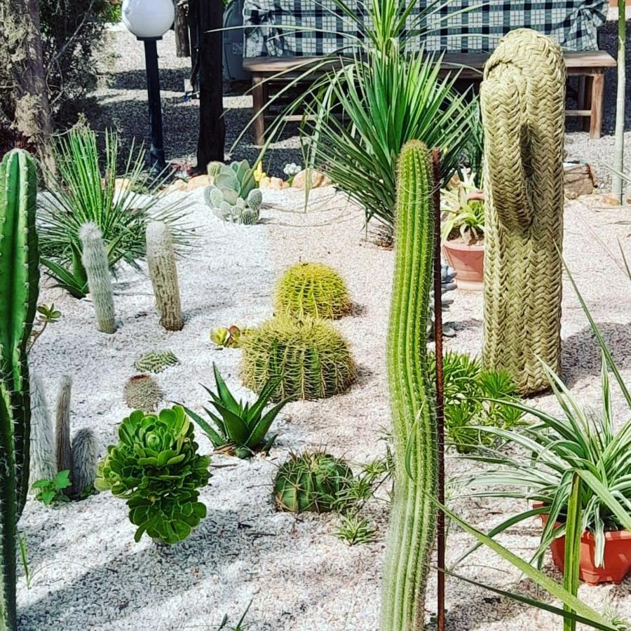 Petit Paradis Leilighet Sidi Bibi Eksteriør bilde